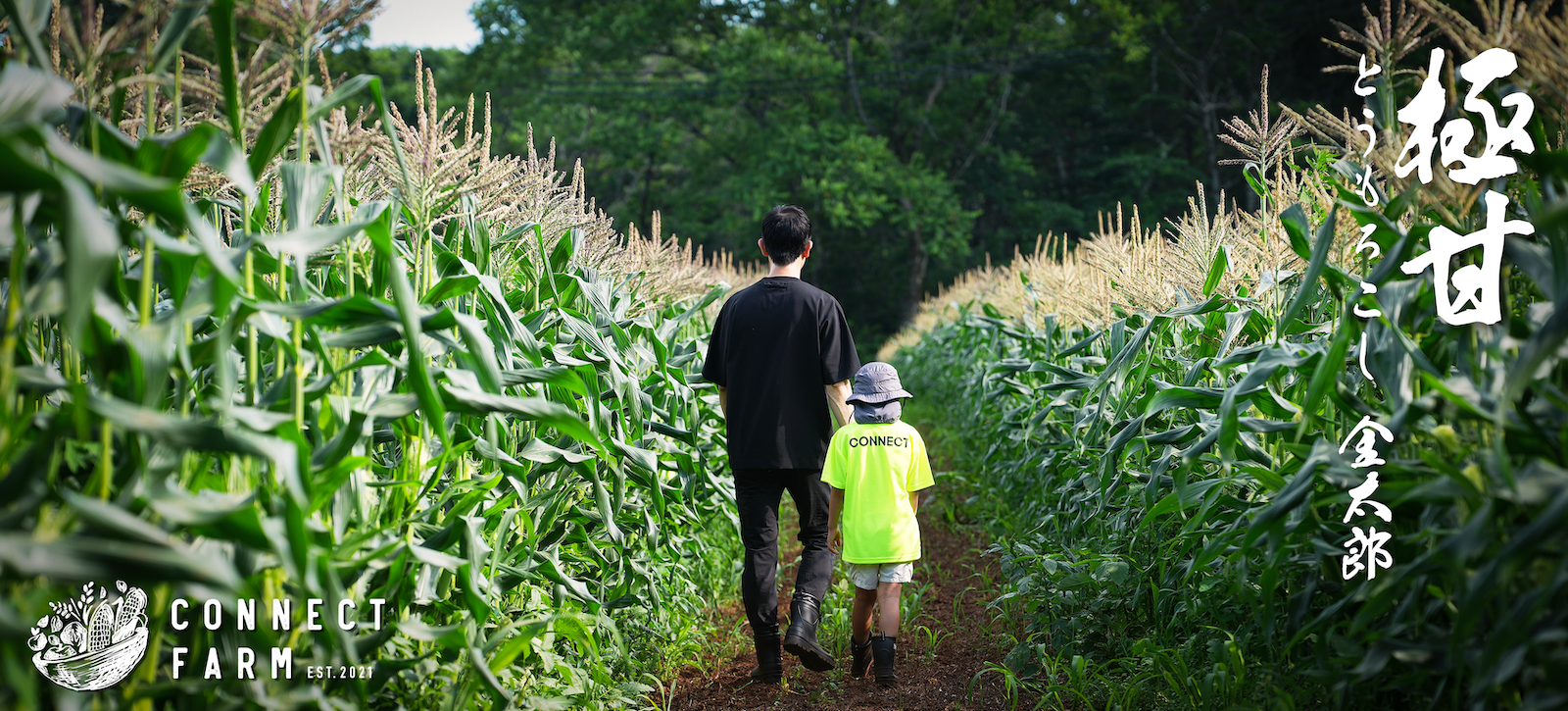 極甘とうもろこし 金太郎 コネクトファーム CONNECT FARM